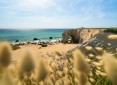 Programme Neuf LES VOILES BLANCHES Maisons Quiberon