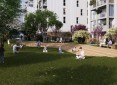 Programme Neuf Horizon Royan